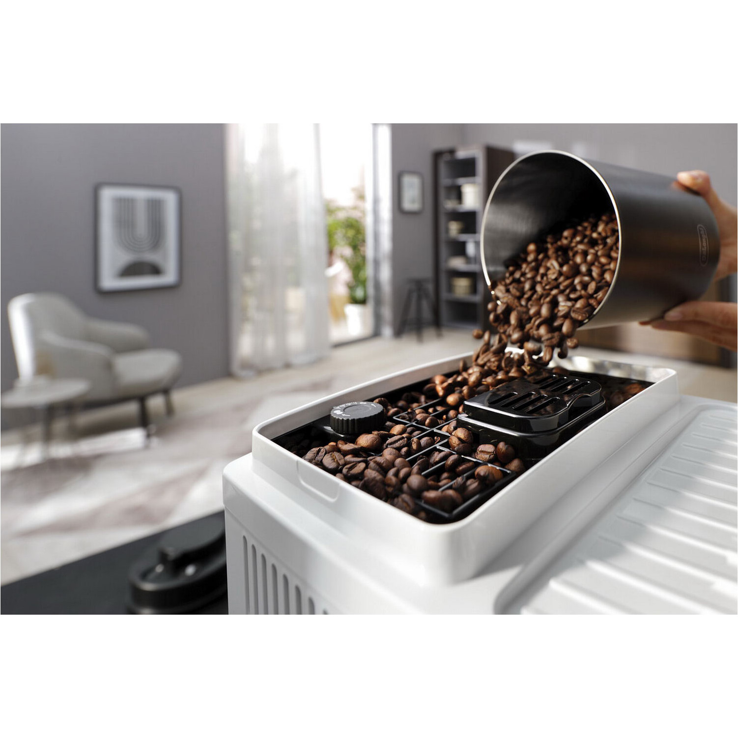 ���������� �������������� DeLonghi ECAM 220.20.W Magnifica Start